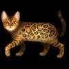 SaGa: Emerald Beyond - Cat Bengal