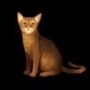 SaGa: Emerald Beyond - Cat Abyssinian