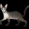 SaGa: Emerald Beyond - Cat Cornish Rex