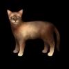 SaGa: Emerald Beyond - Cat Burmese