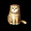 SaGa: Emerald Beyond - Cat Scottish Fold